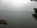 ./images/koeye/fitz-hugh/20200819/fitz-hugh20200819_115002.jpg