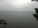 ./images/koeye/fitz-hugh/20200819/fitz-hugh20200819_115502.jpg