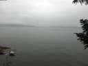 ./images/koeye/fitz-hugh/20200819/fitz-hugh20200819_122502.jpg
