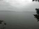 ./images/koeye/fitz-hugh/20200819/fitz-hugh20200819_123502.jpg