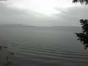 ./images/koeye/fitz-hugh/20200819/fitz-hugh20200819_130501.jpg