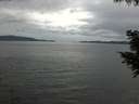 ./images/koeye/fitz-hugh/20200819/fitz-hugh20200819_150502.jpg