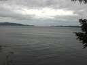 ./images/koeye/fitz-hugh/20200819/fitz-hugh20200819_154002.jpg