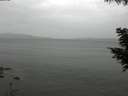 ./images/koeye/fitz-hugh/20200819/fitz-hugh20200819_161001.jpg