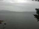 ./images/koeye/fitz-hugh/20200819/fitz-hugh20200819_162001.jpg