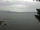 ./images/koeye/fitz-hugh/20200819/fitz-hugh20200819_162501.jpg