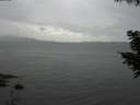 ./images/koeye/fitz-hugh/20200819/fitz-hugh20200819_164001.jpg