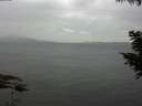 ./images/koeye/fitz-hugh/20200819/fitz-hugh20200819_165001.jpg