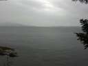 ./images/koeye/fitz-hugh/20200819/fitz-hugh20200819_165501.jpg