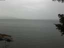 ./images/koeye/fitz-hugh/20200819/fitz-hugh20200819_170501.jpg