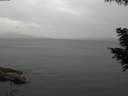 ./images/koeye/fitz-hugh/20200819/fitz-hugh20200819_171001.jpg
