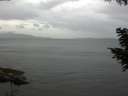 ./images/koeye/fitz-hugh/20200819/fitz-hugh20200819_172501.jpg