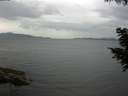 ./images/koeye/fitz-hugh/20200819/fitz-hugh20200819_173501.jpg