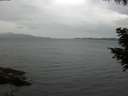 ./images/koeye/fitz-hugh/20200819/fitz-hugh20200819_175002.jpg