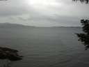 ./images/koeye/fitz-hugh/20200819/fitz-hugh20200819_180002.jpg
