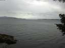 ./images/koeye/fitz-hugh/20200819/fitz-hugh20200819_182502.jpg