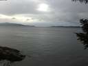 ./images/koeye/fitz-hugh/20200819/fitz-hugh20200819_185001.jpg