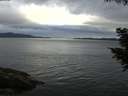 ./images/koeye/fitz-hugh/20200819/fitz-hugh20200819_194001.jpg