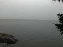 ./images/koeye/fitz-hugh/20200819/fitz-hugh20200819_211502.jpg