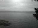 ./images/koeye/fitz-hugh/20200819/fitz-hugh20200819_212502.jpg