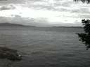 ./images/koeye/fitz-hugh/20200820/fitz-hugh20200820_054502.jpg