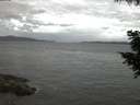 ./images/koeye/fitz-hugh/20200820/fitz-hugh20200820_055002.jpg