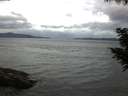 ./images/koeye/fitz-hugh/20200820/fitz-hugh20200820_061502.jpg