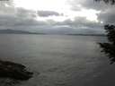 ./images/koeye/fitz-hugh/20200820/fitz-hugh20200820_062001.jpg