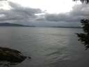 ./images/koeye/fitz-hugh/20200820/fitz-hugh20200820_062501.jpg