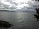 ./images/koeye/fitz-hugh/20200820/fitz-hugh20200820_063501.jpg