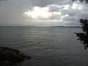 ./images/koeye/fitz-hugh/20200820/fitz-hugh20200820_064001.jpg