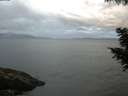 ./images/koeye/fitz-hugh/20200820/fitz-hugh20200820_065001.jpg