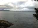 ./images/koeye/fitz-hugh/20200820/fitz-hugh20200820_065501.jpg