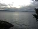 ./images/koeye/fitz-hugh/20200820/fitz-hugh20200820_073501.jpg