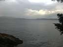 ./images/koeye/fitz-hugh/20200820/fitz-hugh20200820_074501.jpg