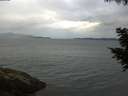 ./images/koeye/fitz-hugh/20200820/fitz-hugh20200820_075501.jpg