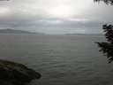 ./images/koeye/fitz-hugh/20200820/fitz-hugh20200820_080002.jpg