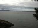 ./images/koeye/fitz-hugh/20200820/fitz-hugh20200820_080501.jpg