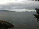 ./images/koeye/fitz-hugh/20200820/fitz-hugh20200820_084002.jpg