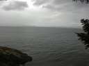 ./images/koeye/fitz-hugh/20200820/fitz-hugh20200820_090502.jpg