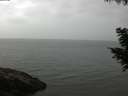 ./images/koeye/fitz-hugh/20200820/fitz-hugh20200820_091502.jpg