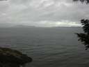 ./images/koeye/fitz-hugh/20200820/fitz-hugh20200820_094501.jpg