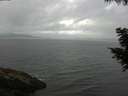 ./images/koeye/fitz-hugh/20200820/fitz-hugh20200820_095001.jpg