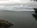 ./images/koeye/fitz-hugh/20200820/fitz-hugh20200820_100501.jpg