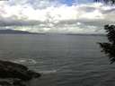 ./images/koeye/fitz-hugh/20200820/fitz-hugh20200820_104001.jpg
