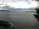 ./images/koeye/fitz-hugh/20200820/fitz-hugh20200820_112001.jpg