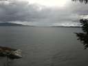 ./images/koeye/fitz-hugh/20200820/fitz-hugh20200820_115502.jpg
