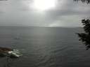 ./images/koeye/fitz-hugh/20200820/fitz-hugh20200820_121502.jpg