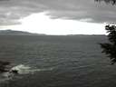 ./images/koeye/fitz-hugh/20200820/fitz-hugh20200820_123501.jpg