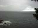 ./images/koeye/fitz-hugh/20200820/fitz-hugh20200820_124001.jpg